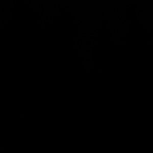 Meet your Posher, Callie